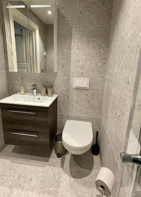 Modern And Cozy Studio Apartment In Central Oslo Dış mekan fotoğraf